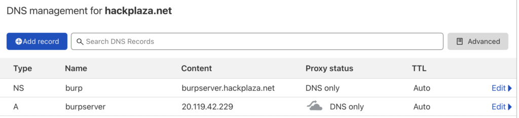 setting up dns for private burp collaborator 